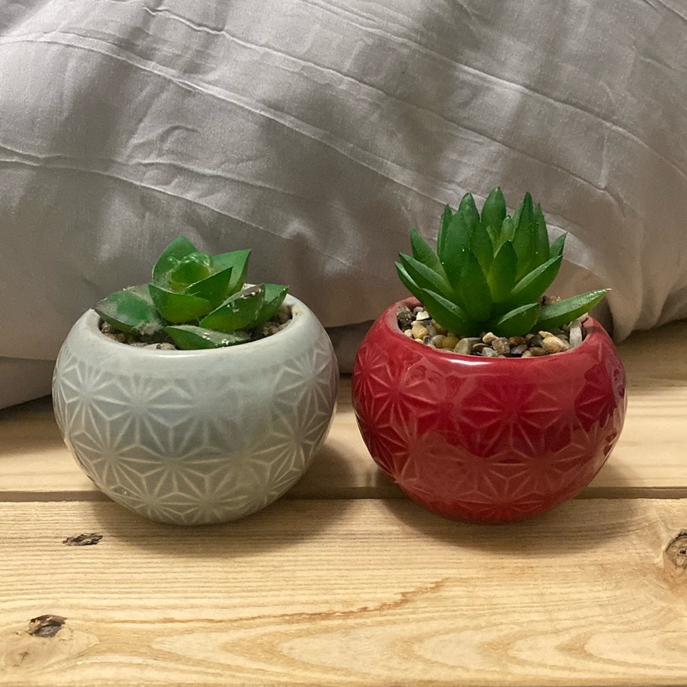Mini fake Succulents